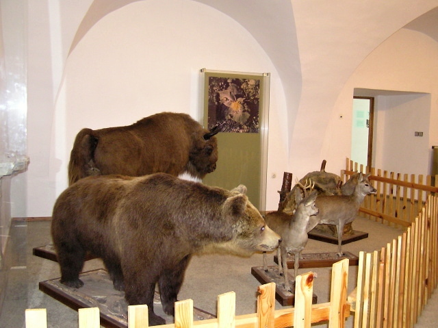 Kaštieľ Humenné - Vihorlatské múzeum v Humennom – Obrázok 3