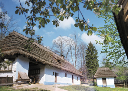 Šarišské múzeum – Obrázok 3